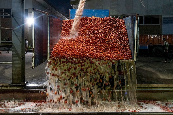 افتتاح پروژه‌های هفته دولت در شهرستان‌های نظرآباد و ساوجبلاغ‎