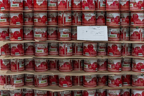 افتتاح پروژه‌های هفته دولت در شهرستان‌های نظرآباد و ساوجبلاغ‎