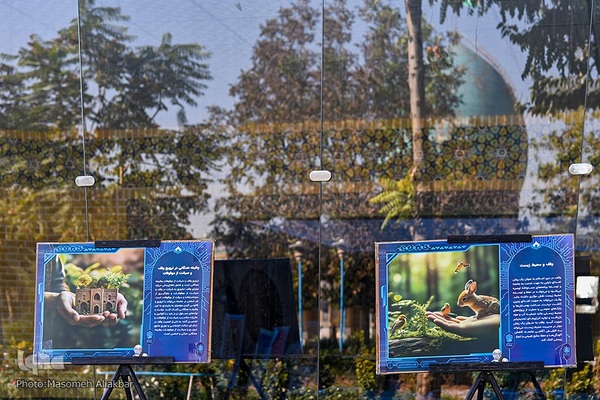 یاوران وقف‎