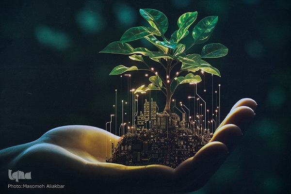 یاوران وقف‎