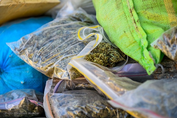 امحا مواد مخدر در البرز‎