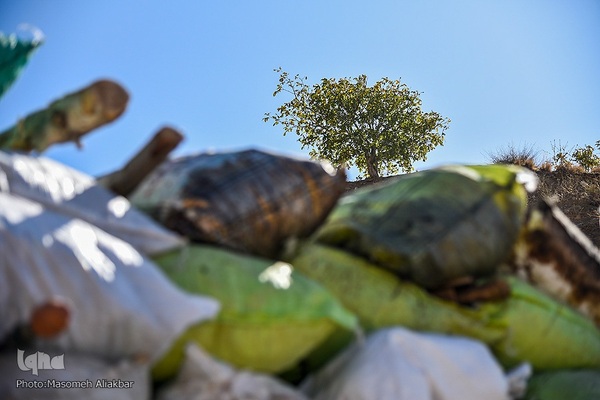 امحا مواد مخدر در البرز‎