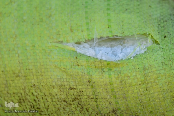 امحا مواد مخدر در البرز‎