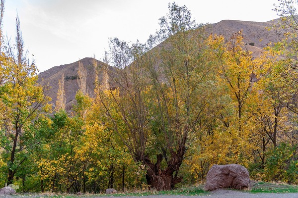 پاییز زیبای طالقان