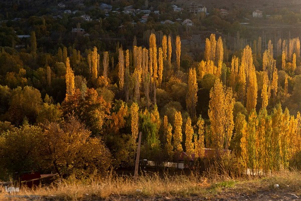 پاییز زیبای طالقان