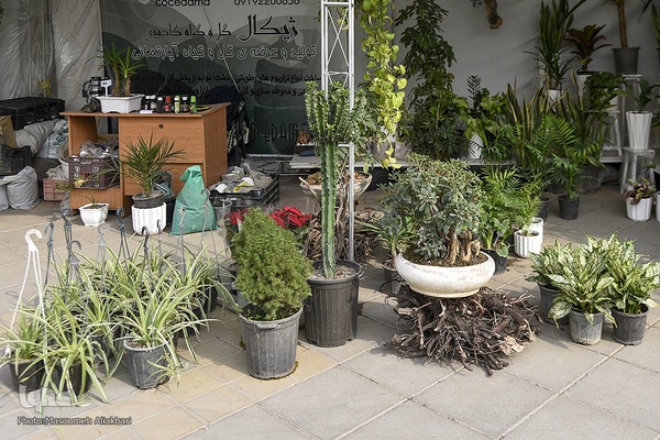 افتتاح دومین دوره بازارچه برکت در کرج