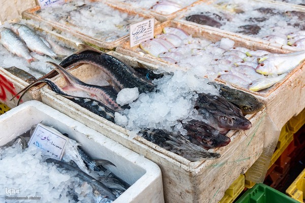 خرید شب یلدا در کرج