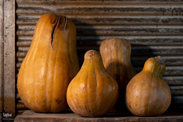 خرید شب یلدا در کرج