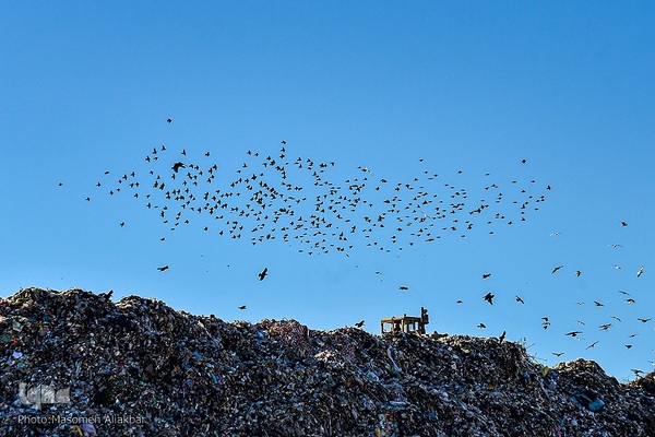 چهارمین اردوی جهاد تبیین محیط زیست استان البرز