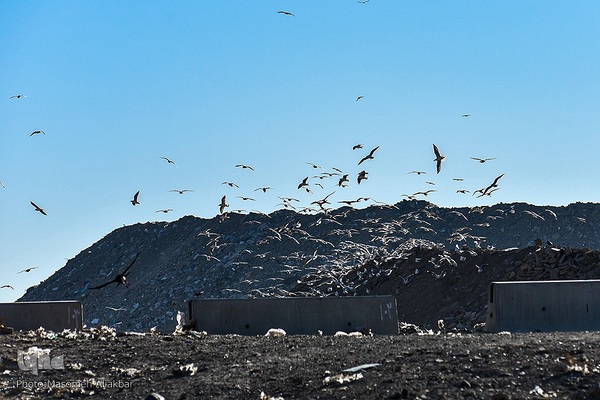 چهارمین اردوی جهاد تبیین محیط زیست استان البرز