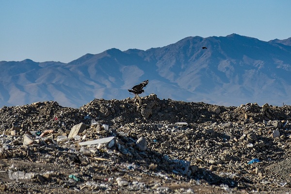 چهارمین اردوی جهاد تبیین محیط زیست استان البرز