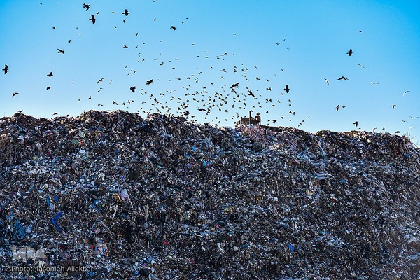 چهارمین اردوی جهاد تبیین محیط زیست استان البرز