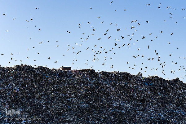 چهارمین اردوی جهاد تبیین محیط زیست استان البرز