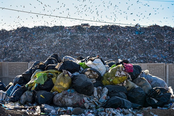 چهارمین اردوی جهاد تبیین محیط زیست استان البرز