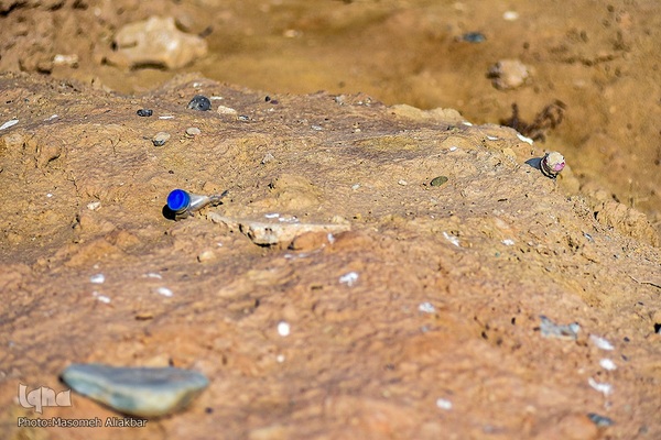 چهارمین اردوی جهاد تبیین محیط زیست استان البرز