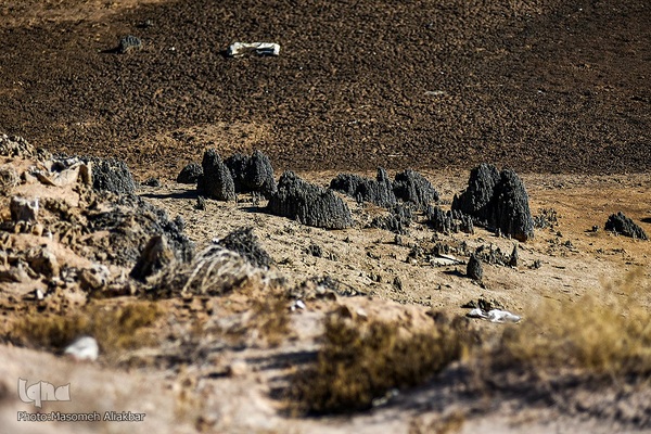 چهارمین اردوی جهاد تبیین محیط زیست استان البرز
