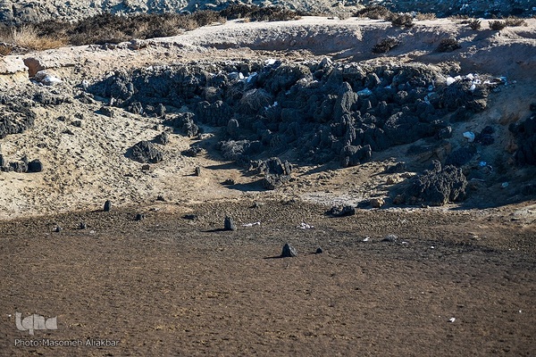 چهارمین اردوی جهاد تبیین محیط زیست استان البرز