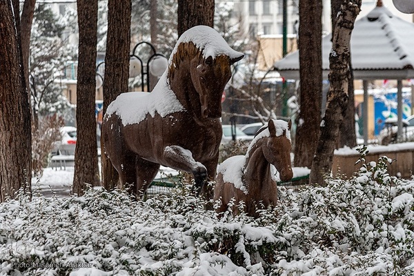 بارش برف در کرج‎