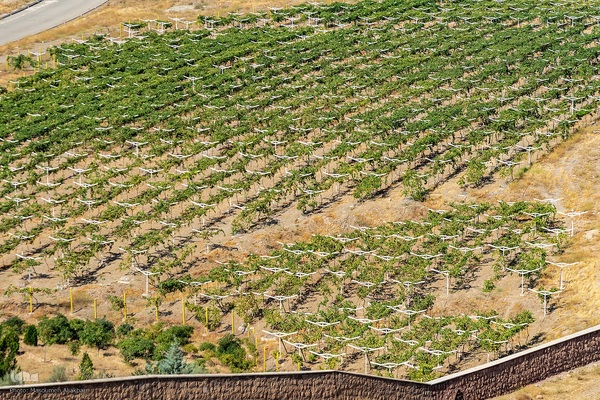 بیست و هفتمین توررسانه ای دانش بنیان سازمان تات