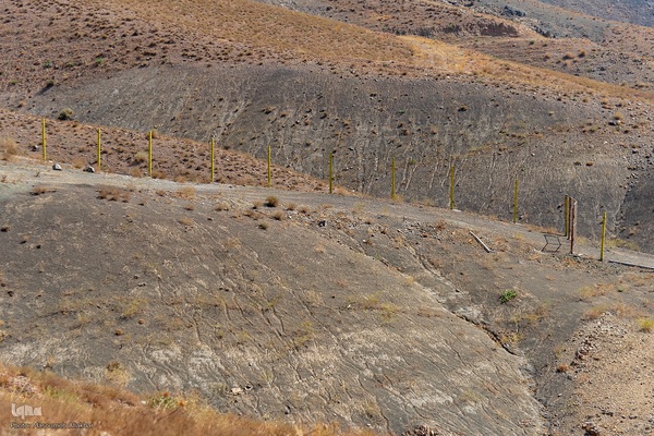 بیست و هفتمین توررسانه ای دانش بنیان سازمان تات