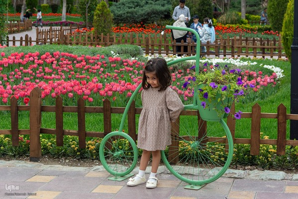 یازدهمین جشنواره لاله‌های کرج‎