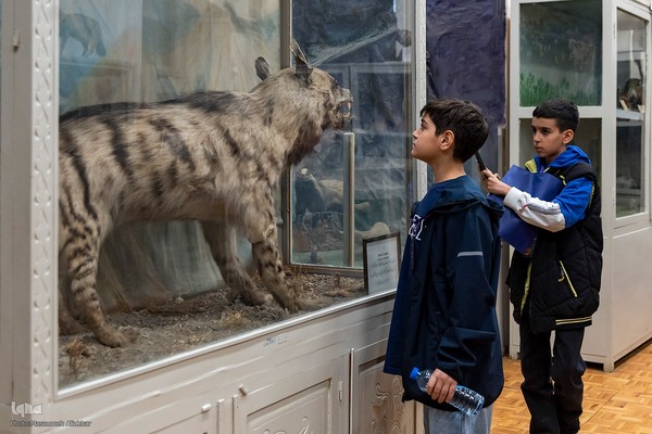 مسابقه زبان انگلیسی «لینگوکاپ» جهاددانشگاهی البرز‎