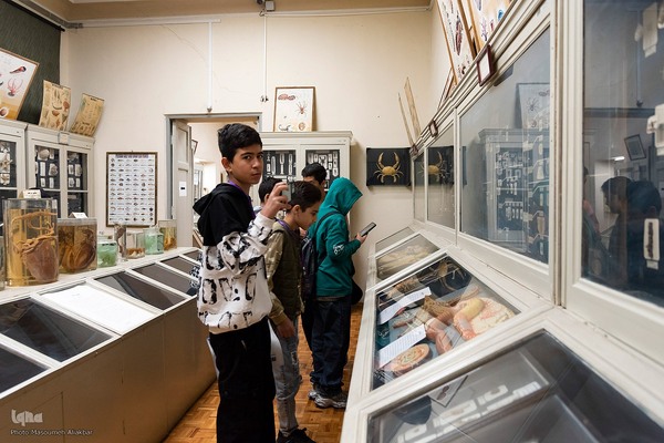 مسابقه زبان انگلیسی «لینگوکاپ» جهاددانشگاهی البرز‎