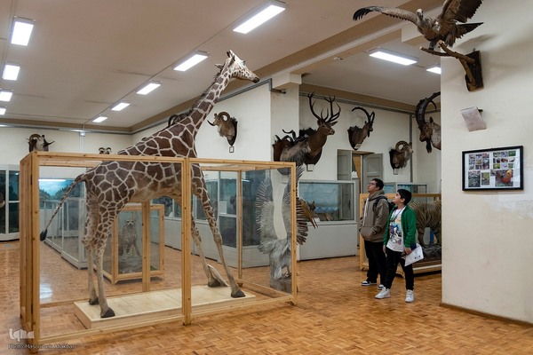 مسابقه زبان انگلیسی «لینگوکاپ» جهاددانشگاهی البرز‎