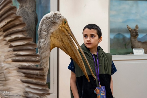 مسابقه زبان انگلیسی «لینگوکاپ» جهاددانشگاهی البرز‎