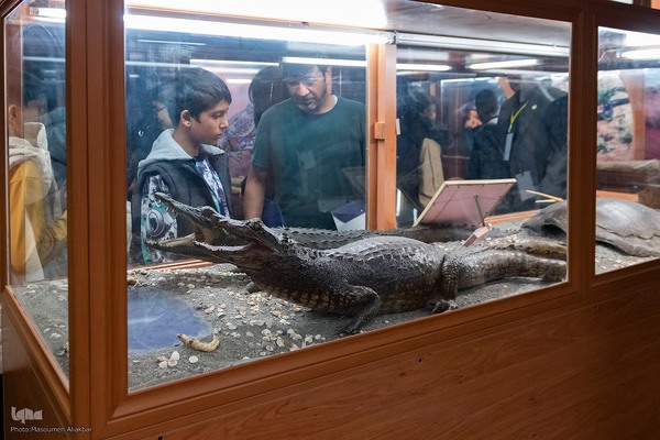 مسابقه زبان انگلیسی «لینگوکاپ» جهاددانشگاهی البرز‎