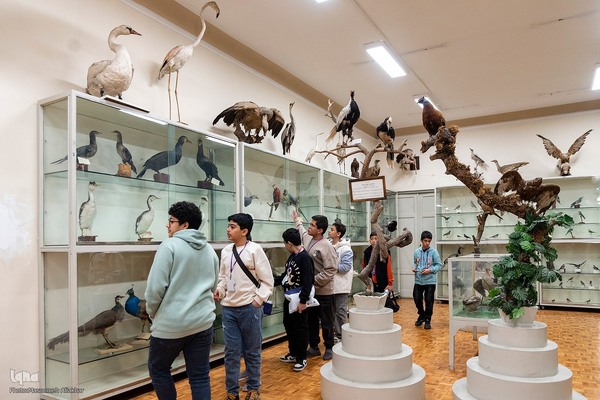 مسابقه زبان انگلیسی «لینگوکاپ» جهاددانشگاهی البرز‎