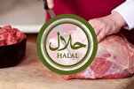 La fédération des musulmans de Corée émet une fatwa sur la viande de laboratoire