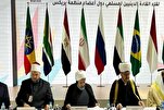 Лидеры мусульманских стран БРИКС подчеркнули необходимость...