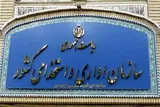 رعایت شرط مدرک تحصیلی مرتبط با شغل برای نخبگان الزامی شد