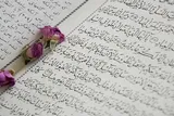 درخشش فعالان قرآنی ناحیه امام حسین(ع) کرج در مسابقات کشوری بسیج
